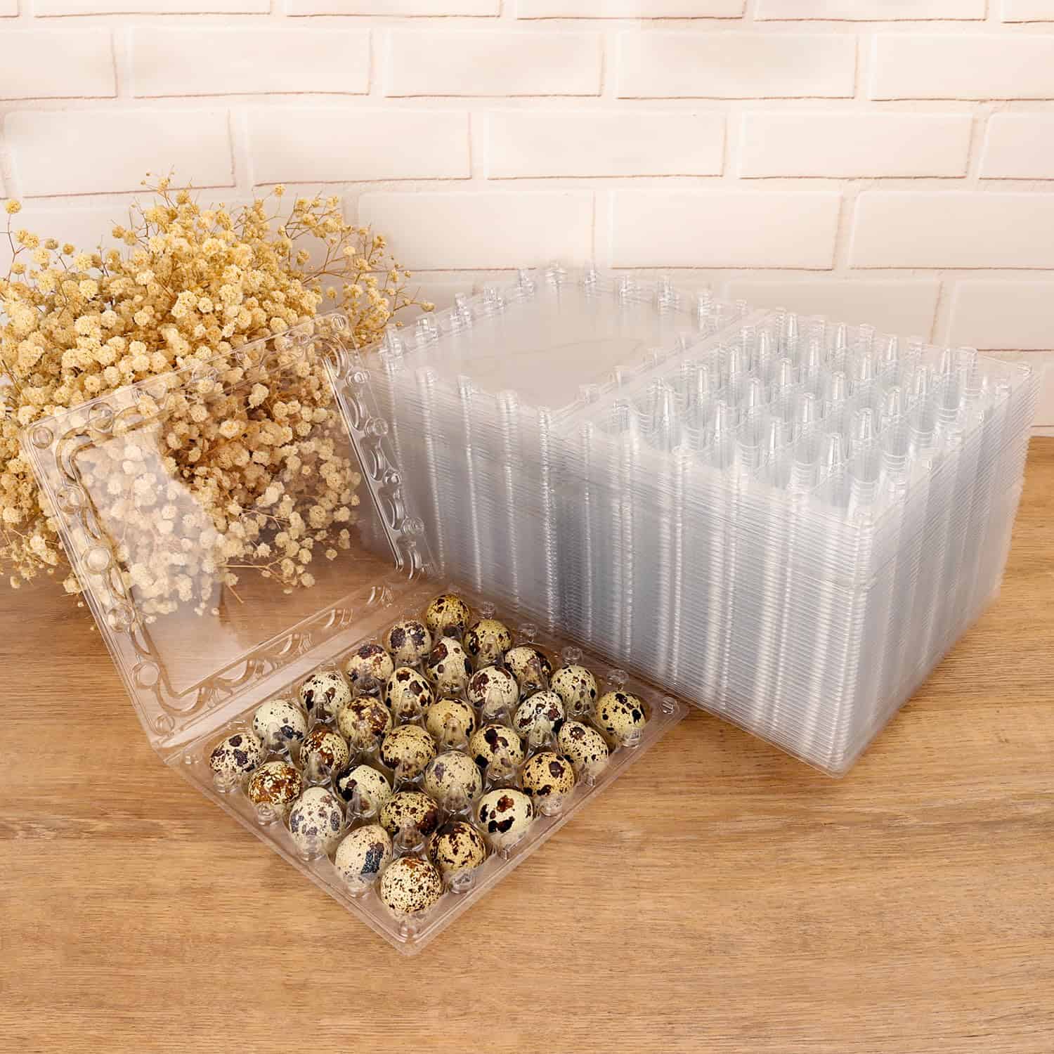 100 Pack Cartones de Huevos de Codorniz, Bandejas de - Imagen 6