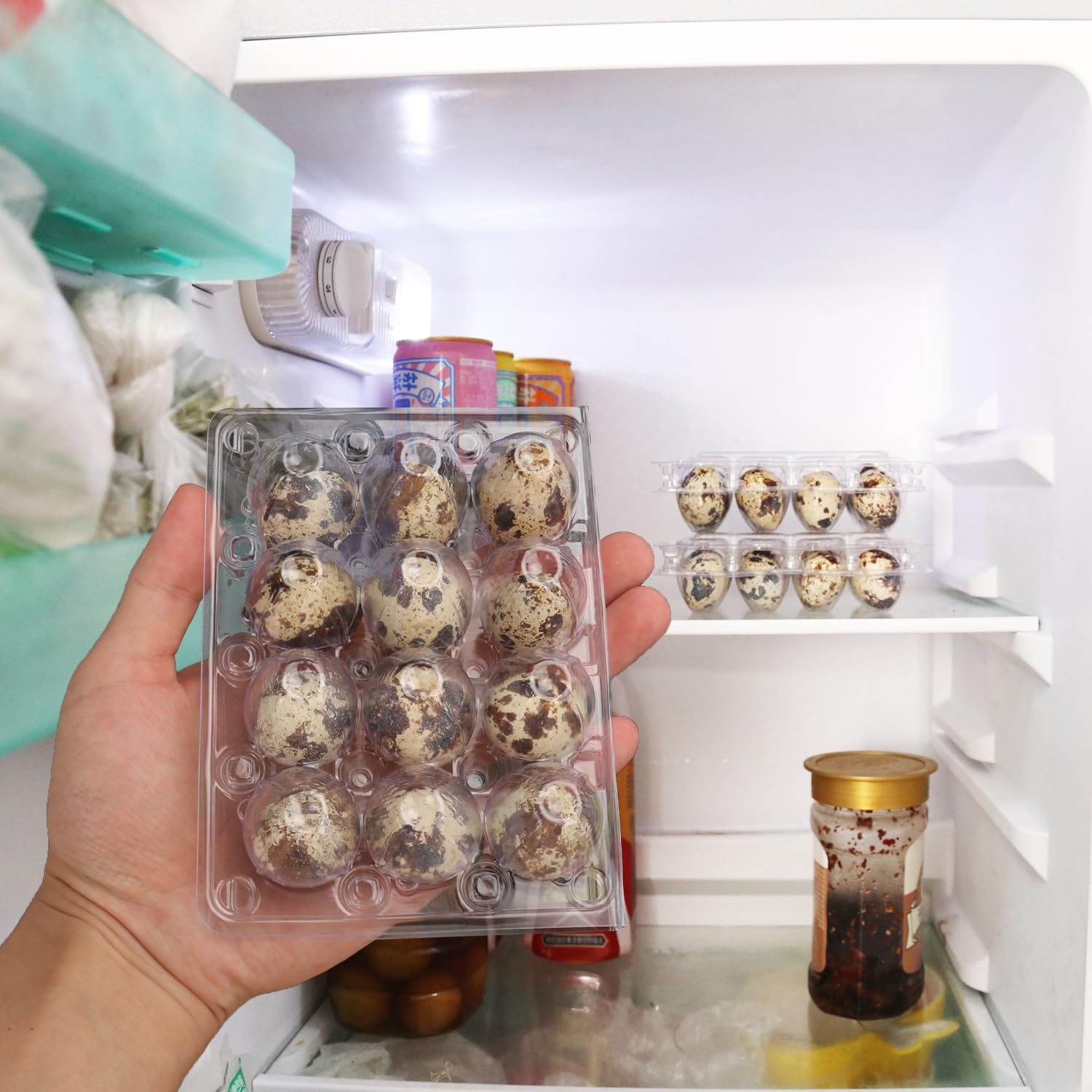 200 Pack Cartones de Huevos de Codorniz KUKLIPJIM, Bandejas - Imagen 7