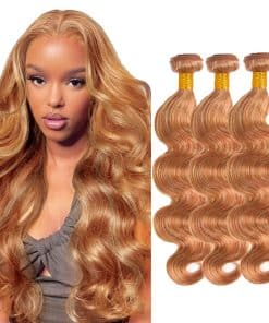 P2730 Highlight Brown Human Hair Bundles Honey Blonde Body