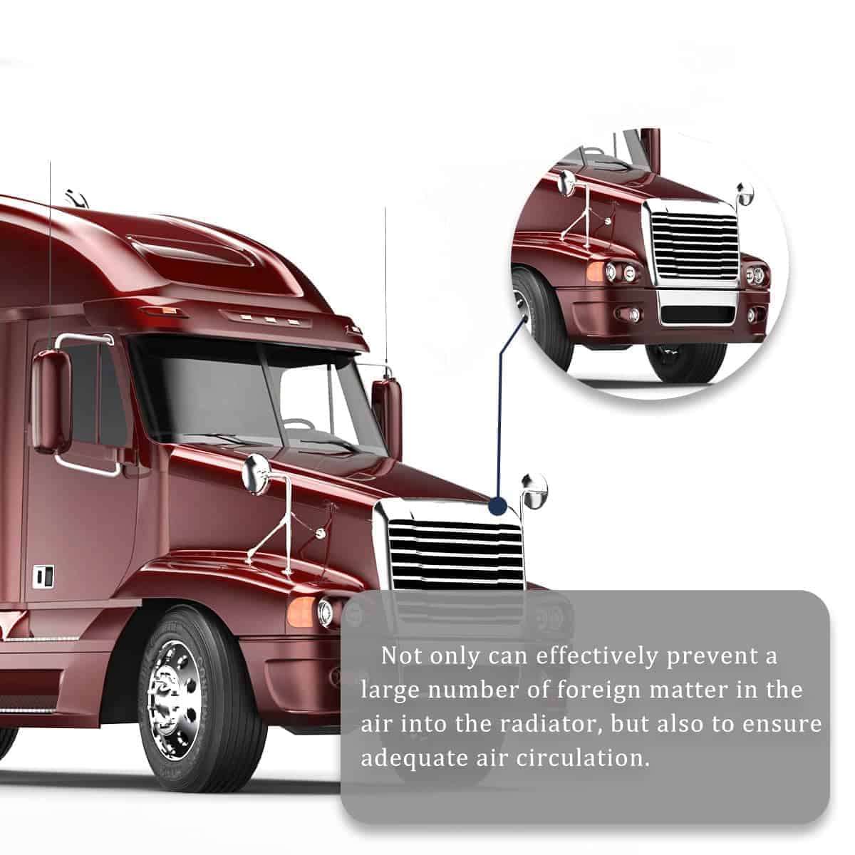 Parrilla delantera del radiador sin pantalla de insectos - Imagen 6