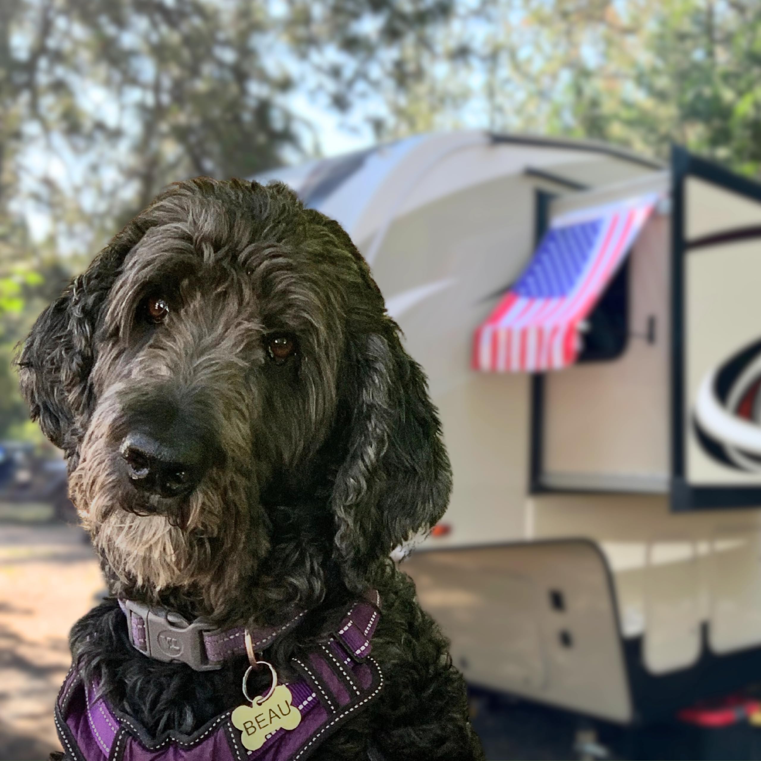 Toldo de Ventana Desmontable para RV - Extraíble para - Imagen 7