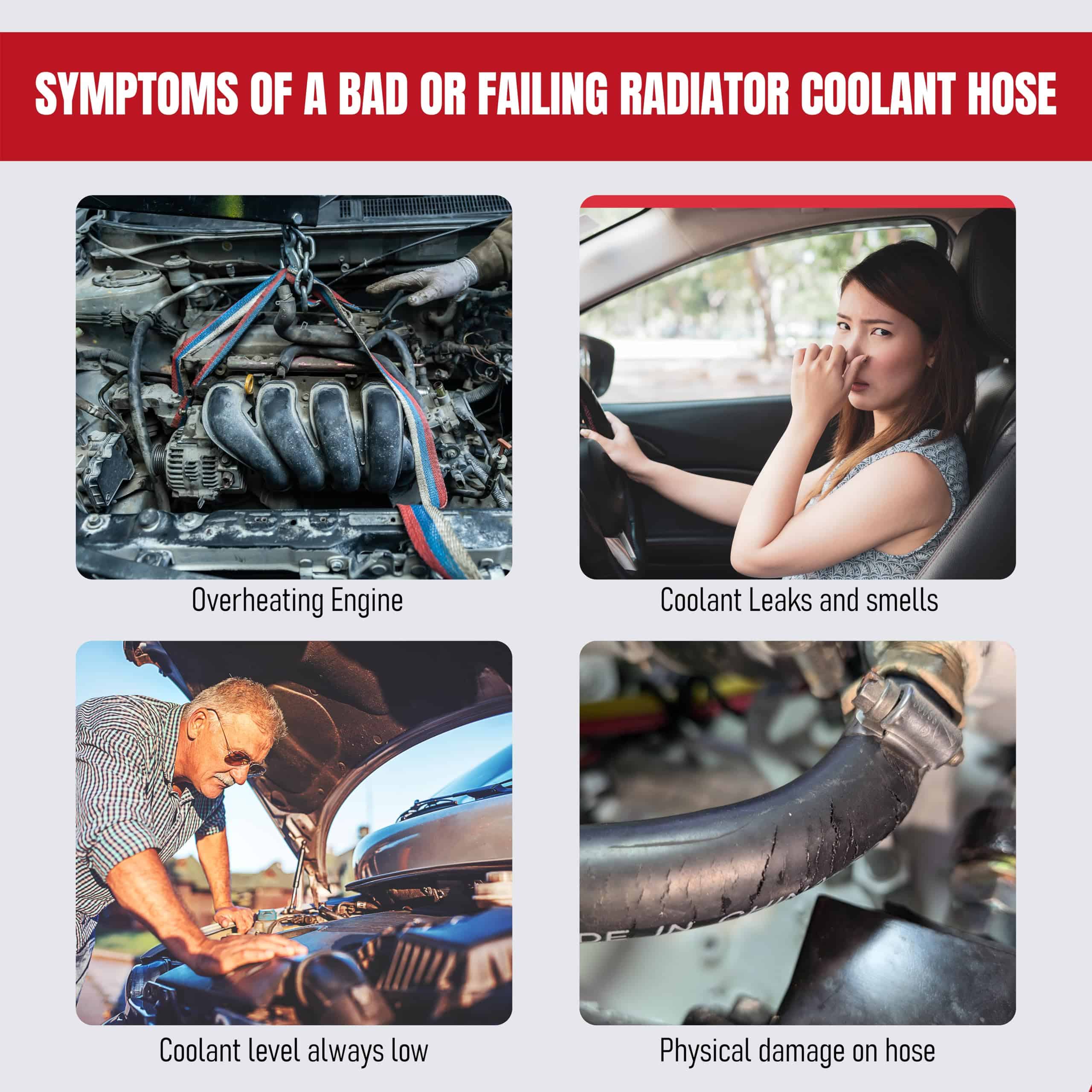 Manguera de refrigerante del radiador superior de reemplazo - Imagen 6