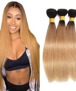 SEABURT Mechones de Cabello Humano Rubio Miel #1B/27 -