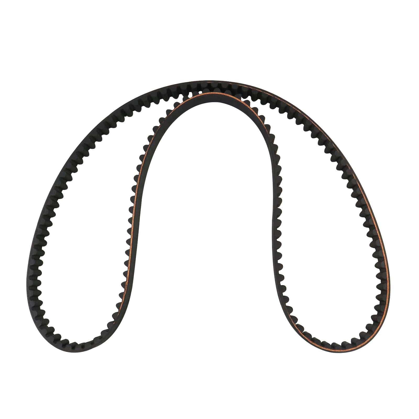 Correa de transmisión trasera -1204-0048 - Imagen 6