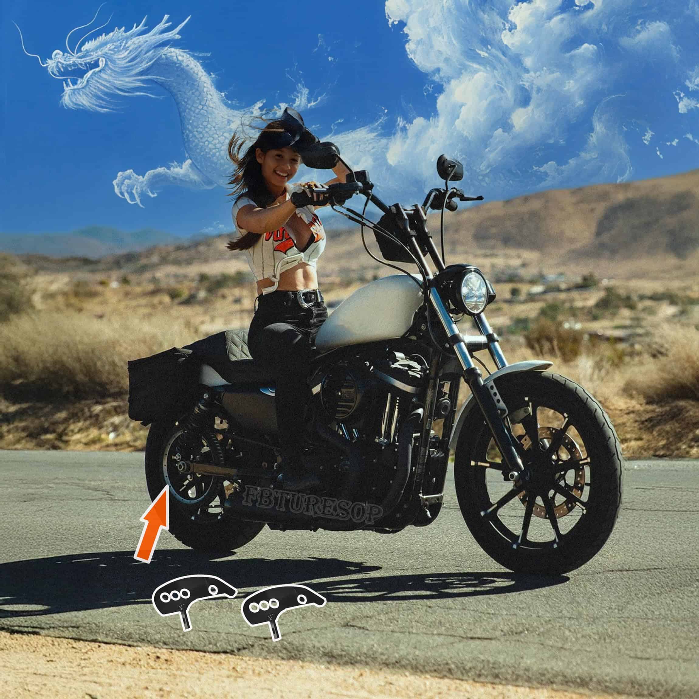 Kit de Bajada para Harley Sportster 2016-2023 Iron 883, - Imagen 5