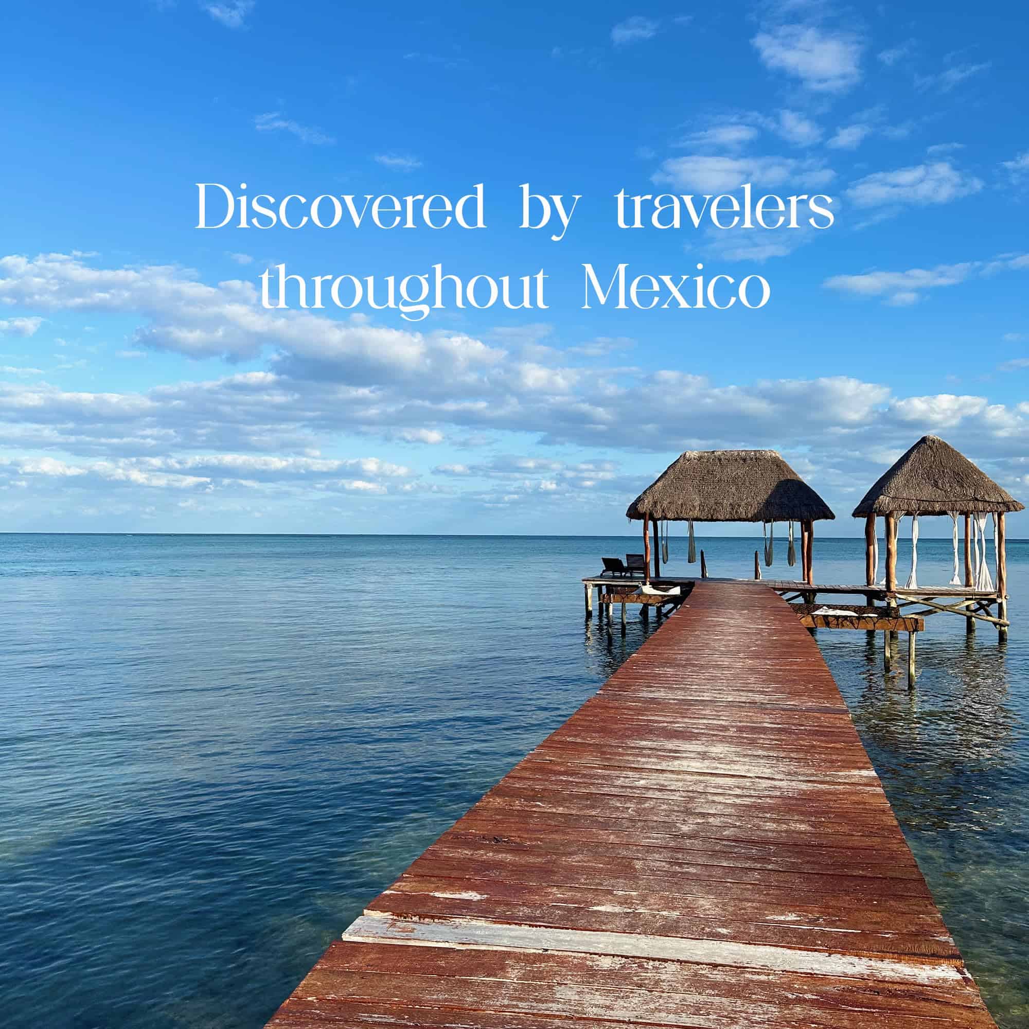 Mascarilla capilar de miel de abeja maya herbaria de Yucatán - Imagen 4