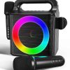 Máquina de Karaoke Portátil SINWE con 2 Micrófonos