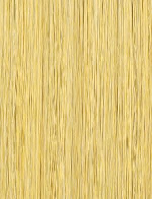 Pelucas Sensationnel Bare Lace 13X6 - Unidad 13 Frontal de - Imagen 10