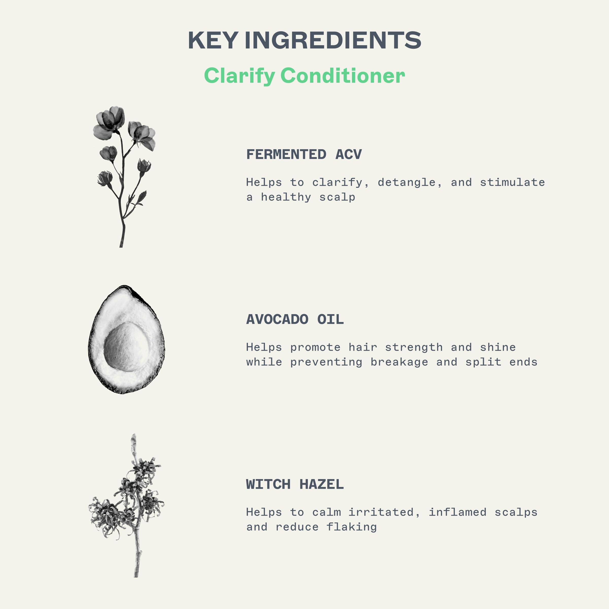 Acondicionador JOOY Clarify Hidratación Ponderada, Calma la - Imagen 3