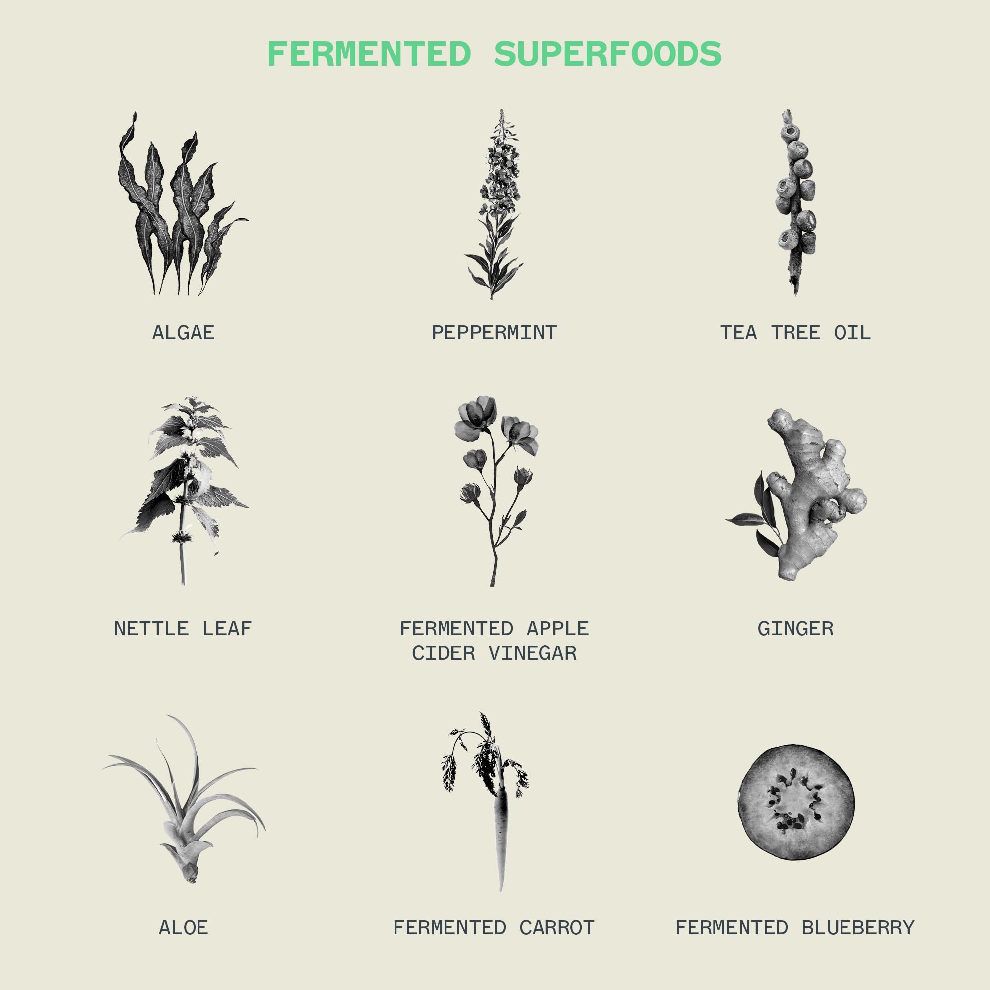 Acondicionador JOOY Clarify Hidratación Ponderada, Calma la - Imagen 8