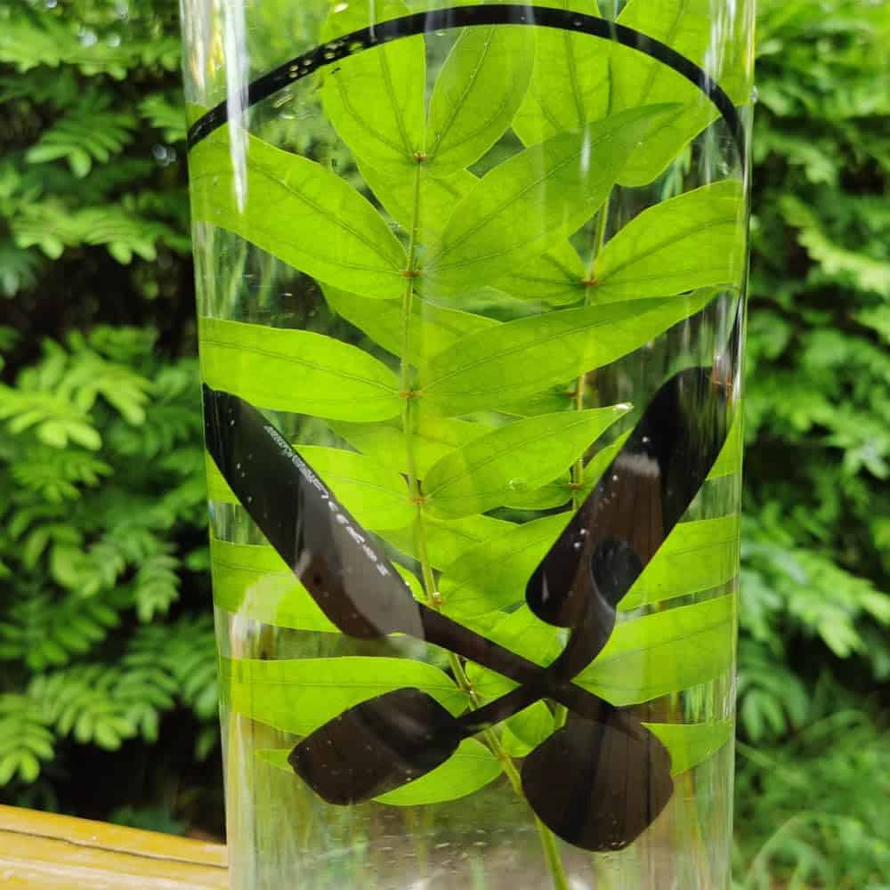 Auriculares de natación IHAO True Bone Conduction X18 Negro - Imagen 7