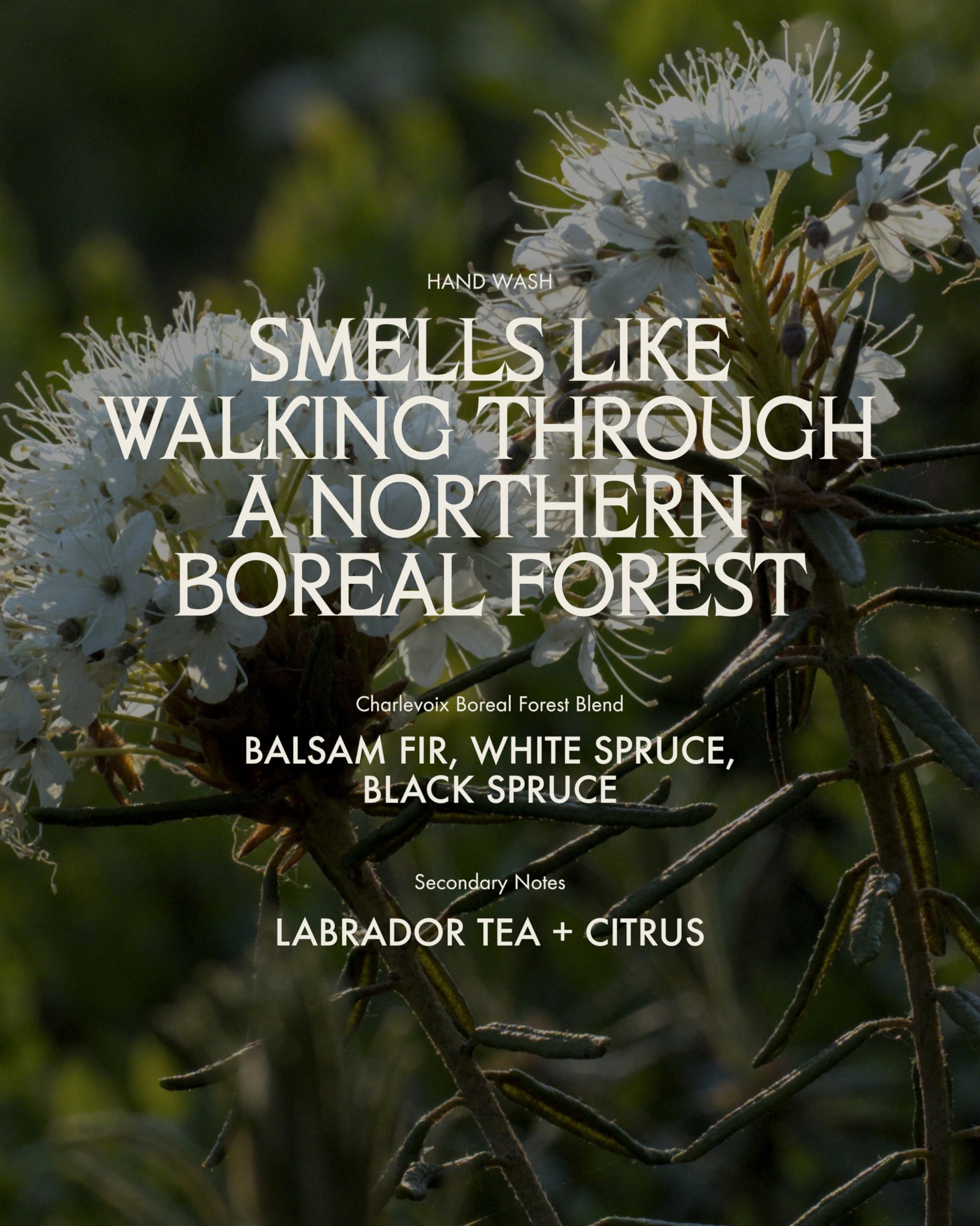 Sans Savon Hand Wash - limpiador micelar, sin jabón, no - Imagen 10