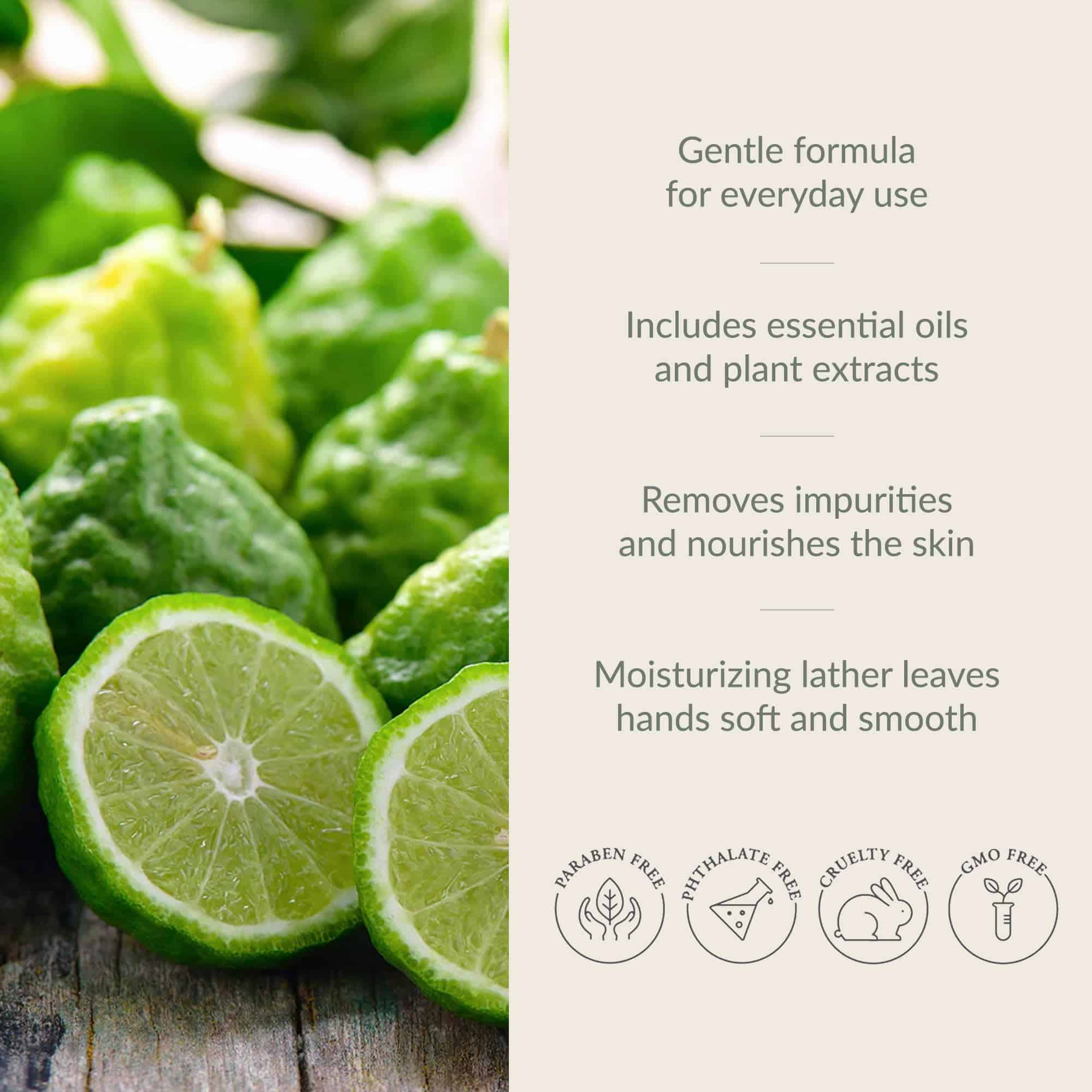 Recarga de Jabón de Manos Archipelago Botanicals Bergamota - Imagen 5