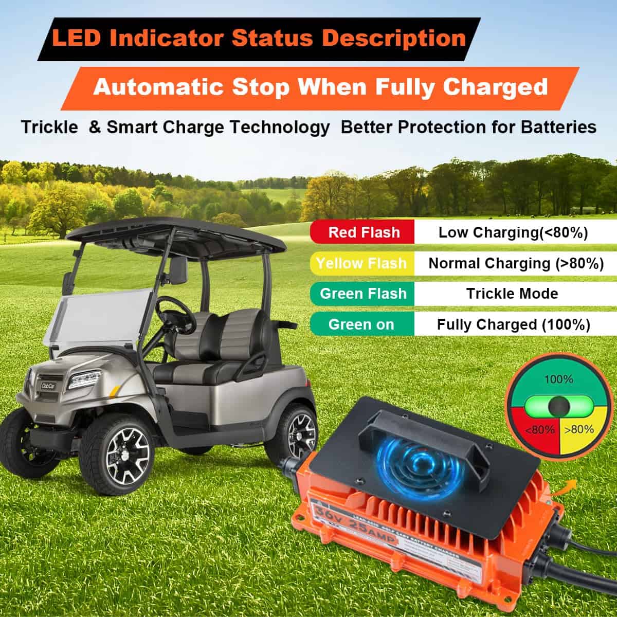 Cargador de batería de carrito de golf de 25 AMP 36 Voltios - Imagen 5