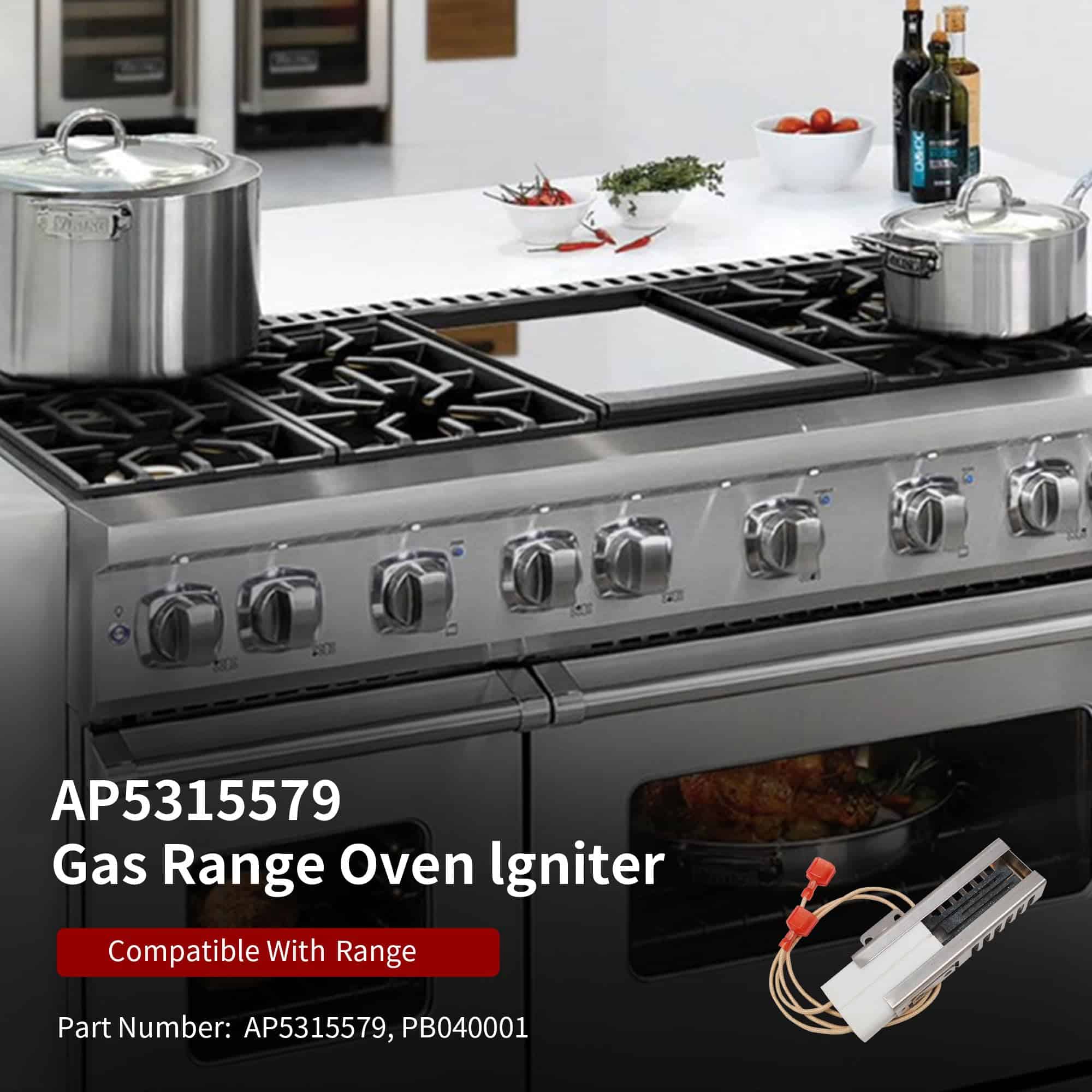 Ignitor de horno de cocina a gas PB040001 Compatible con - Imagen 6