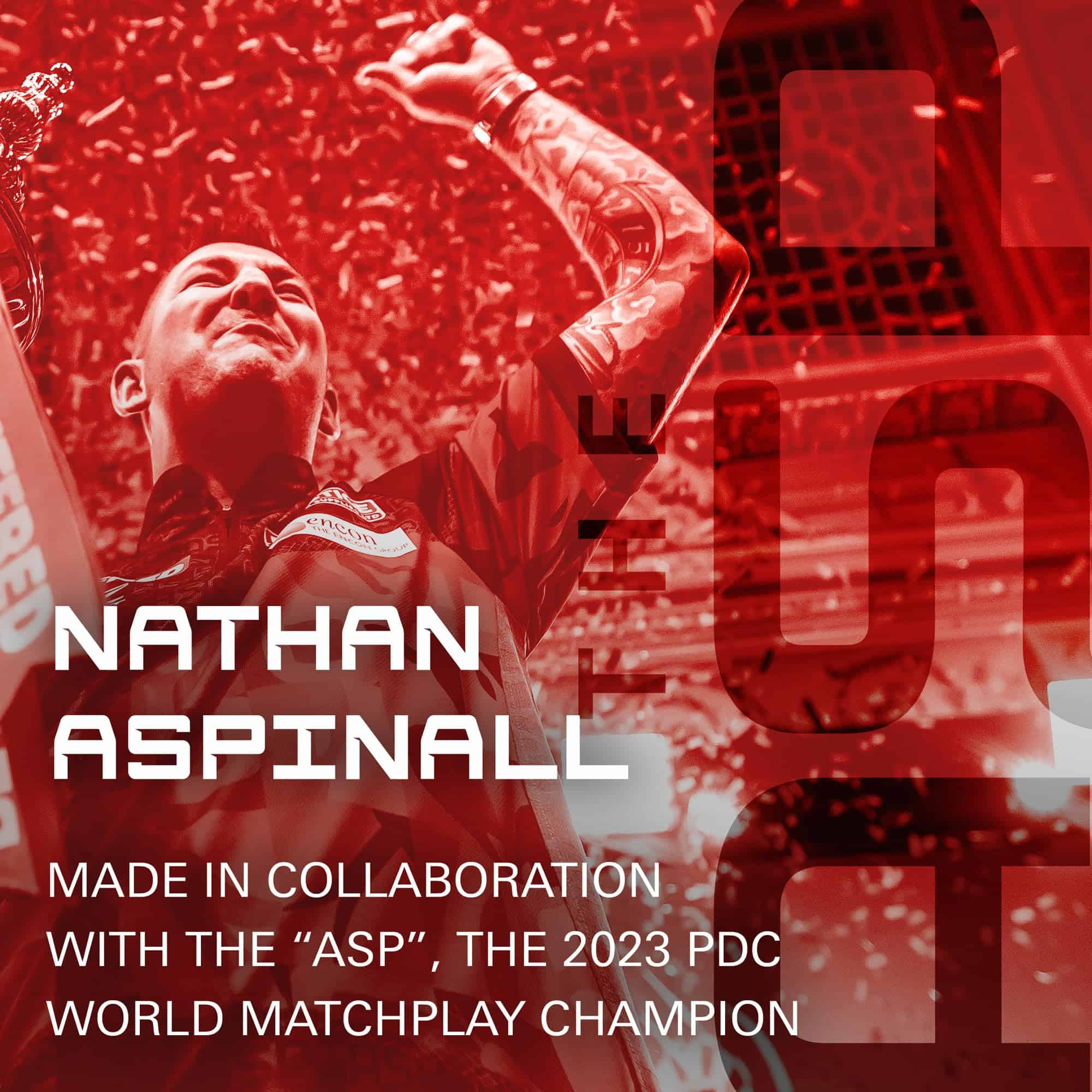 Sistema de Vuelos y Ejes Nathan Aspinall K Flex de TARGET - Imagen 6