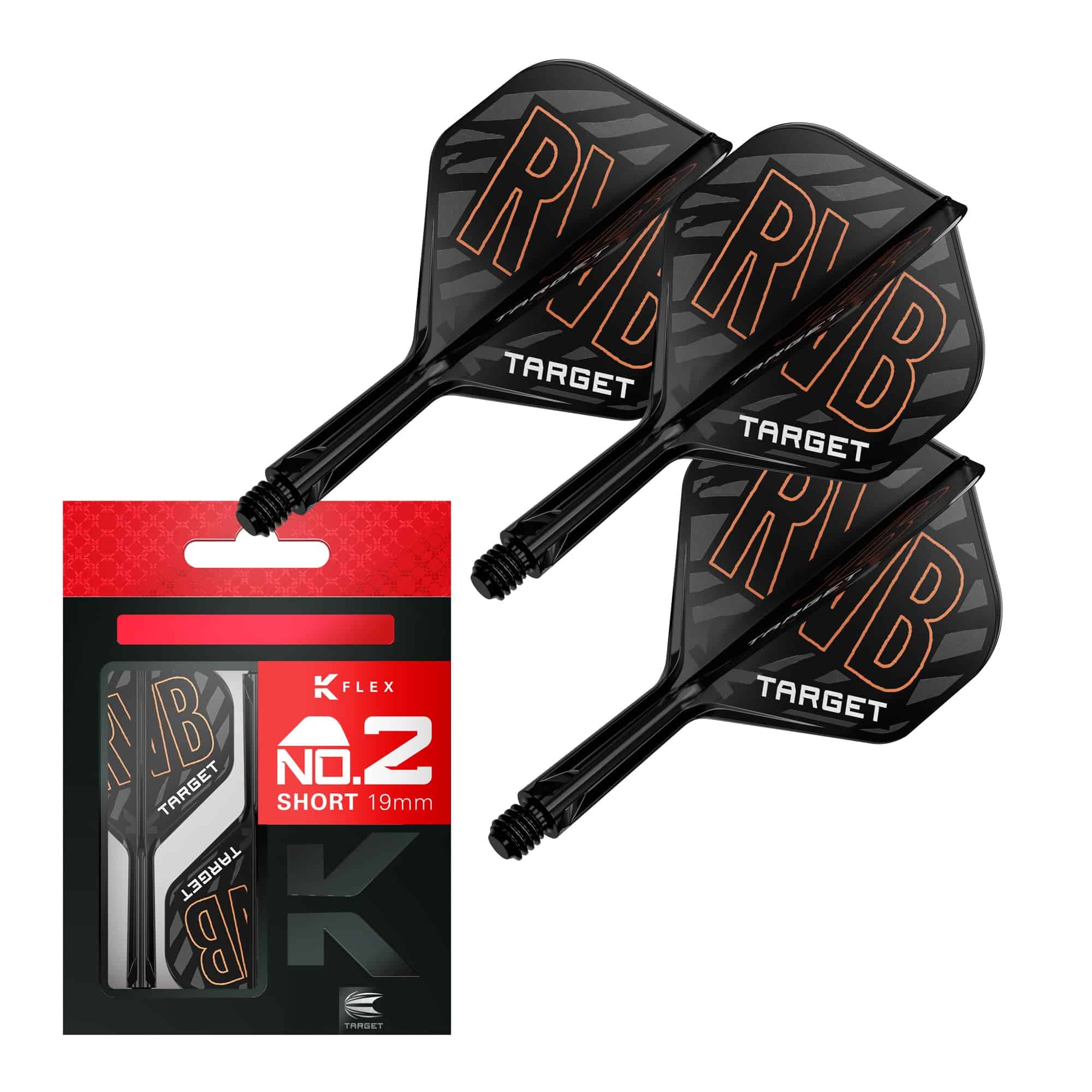 TARGET Darts Raymond Van Barneveld K Flex -Negro