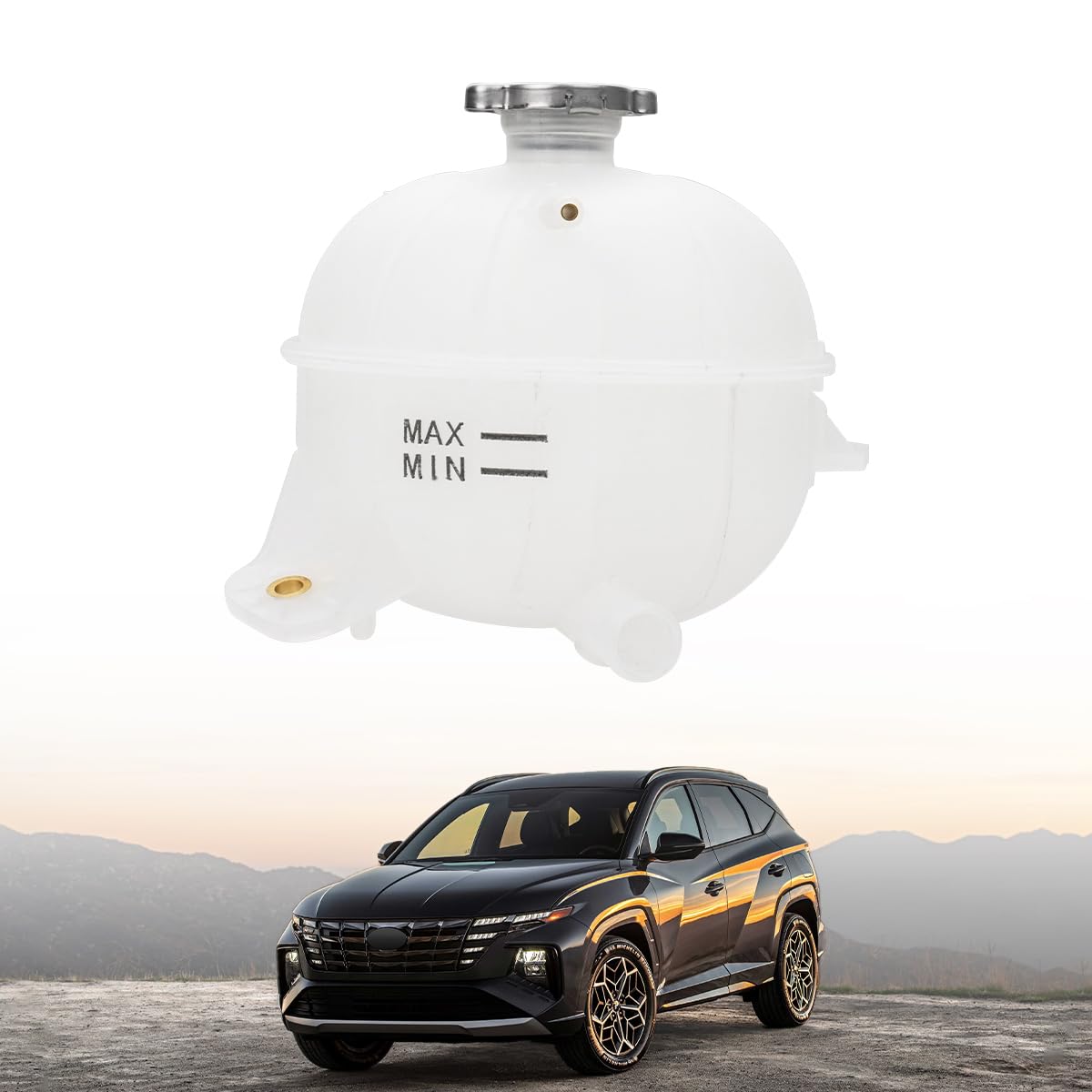 25431D3600 Tanque de Depósito de Refrigerante con Tapa