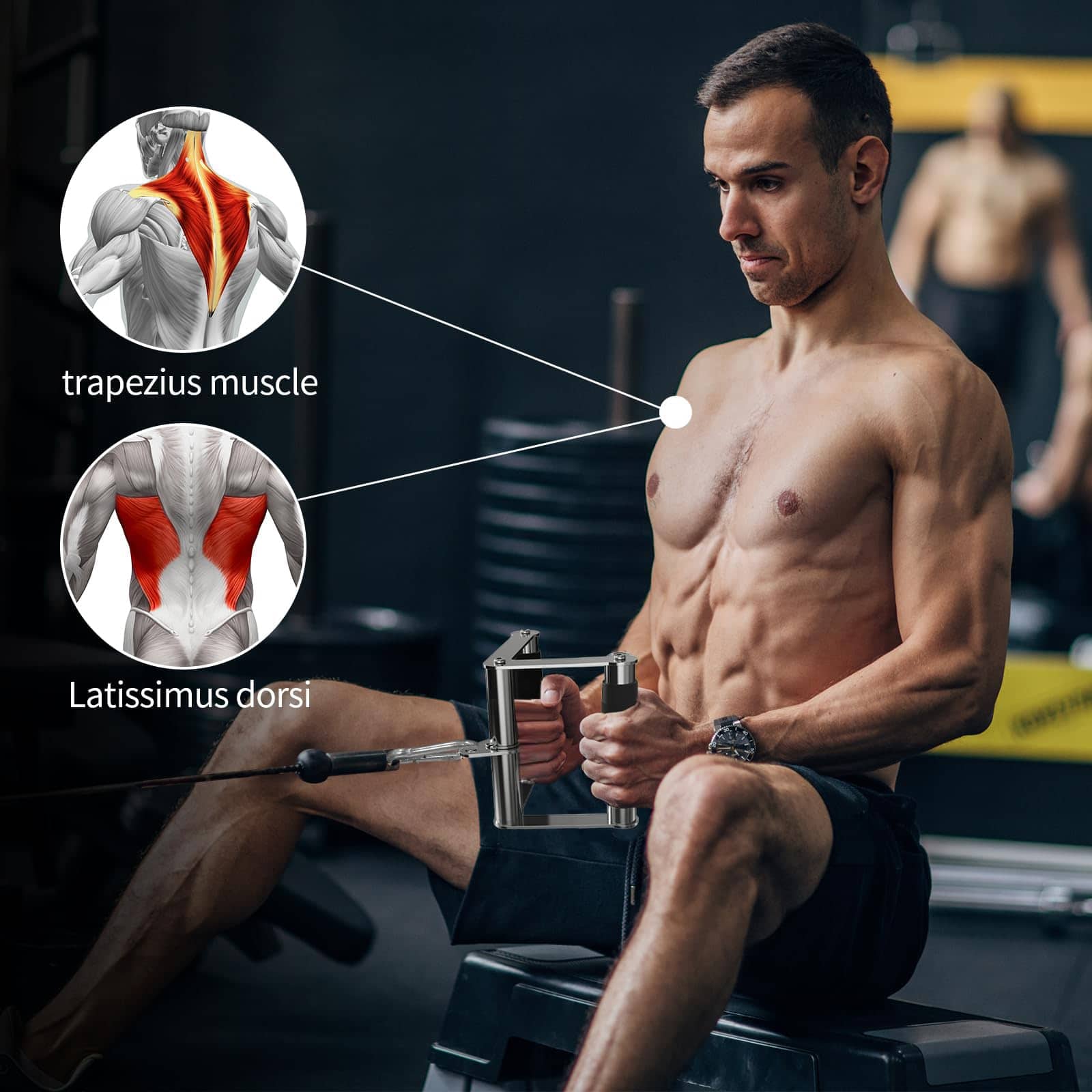 POWER GUIDANCE Cable Machine Attachment, Accesorios de - Imagen 8