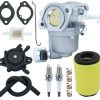 Carburador REMEDART 594207 Compatible con Briggs & Stratton
