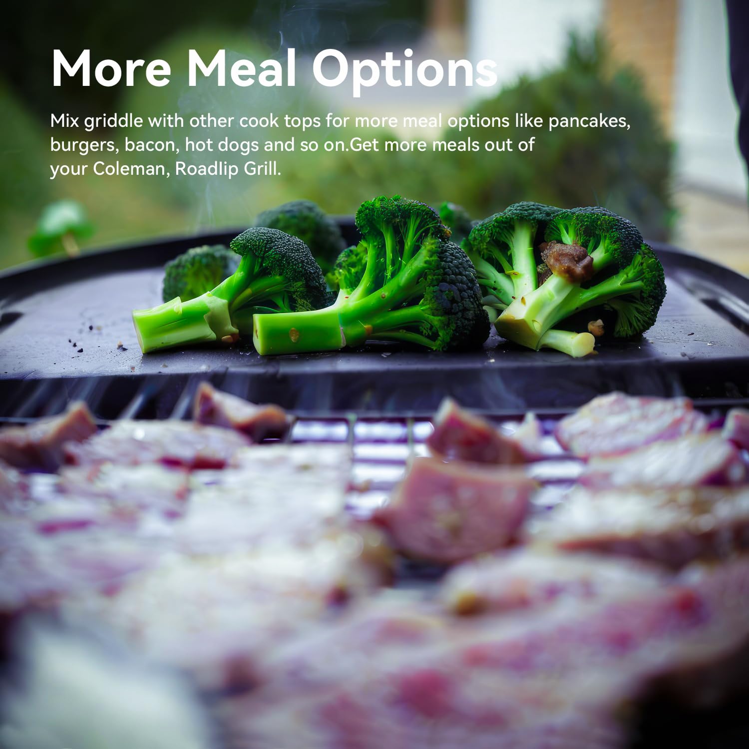 13 x 12.4" Plancha de Hierro Fundido para Coleman Roadtrip - Imagen 7