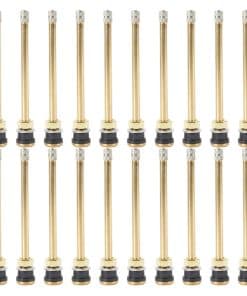 20 Pcs 5in Clamp in Truck Valve Stems, Válvulas rectas para