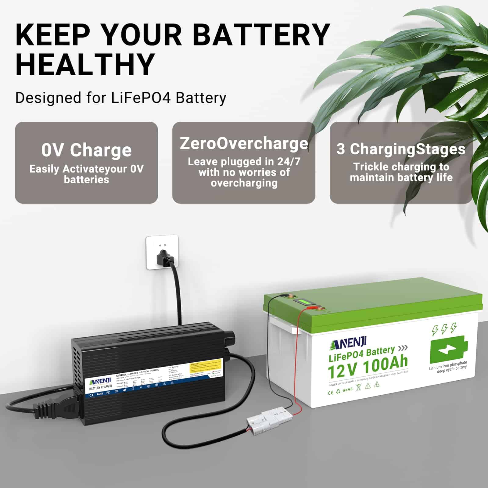 Cargador de batería de litio Aninerel 12V 20A 14.6V - Imagen 3