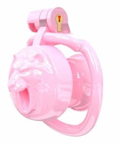 Mini Jaula Invertida de Fitness para Hombres con 5