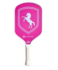 Picklefab Pala de Pickleball | Pala de Pickleball Bonita