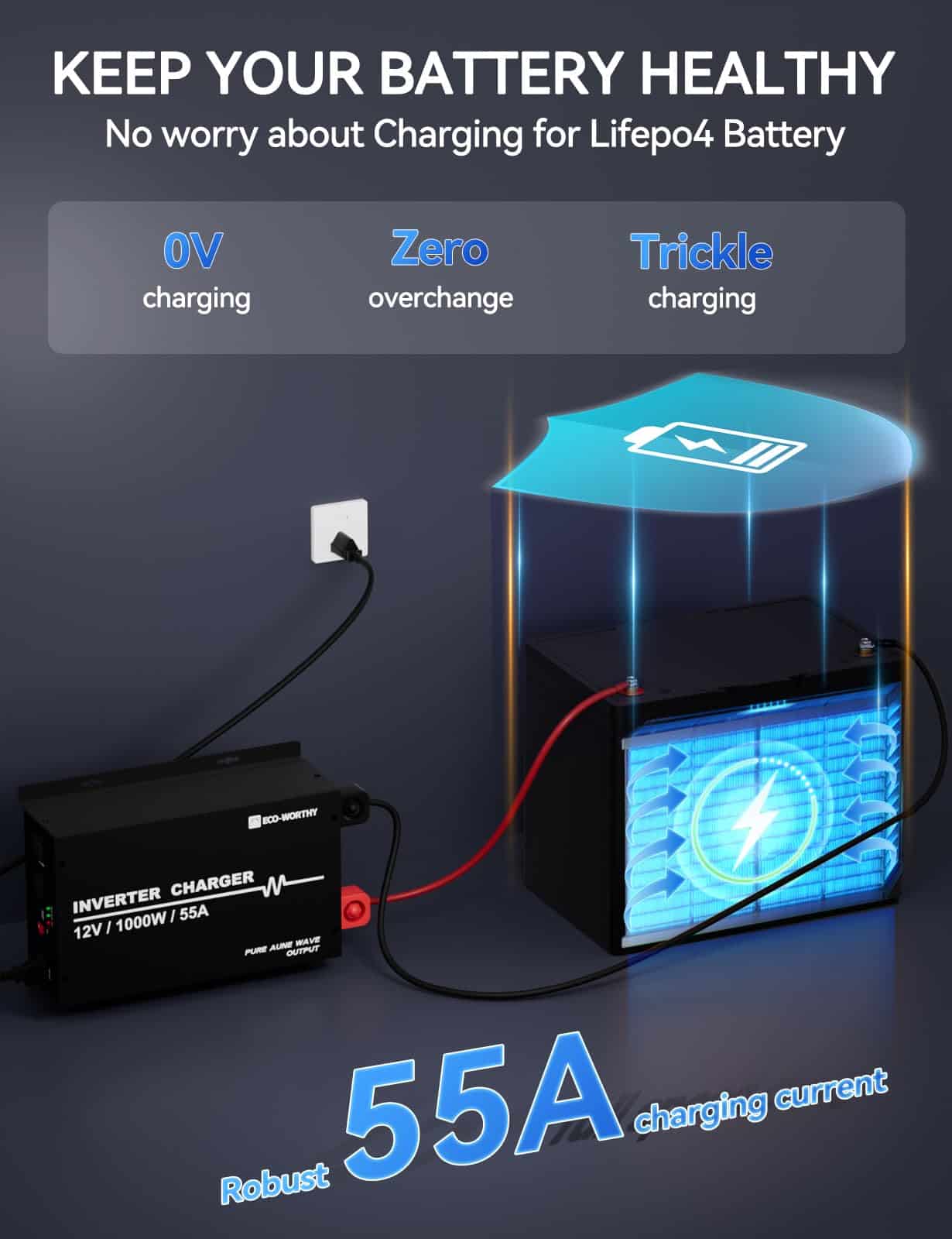 Cargador Inversor ECO-WORTHY 55A para Batería LiFePO4 con - Imagen 4