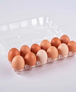 60 Cajas de Plástico 60Pack Cartón de Huevos de Plástico