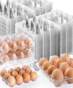 120 Pack Cartones de Huevos 12 Unidades, Cartones de Huevos