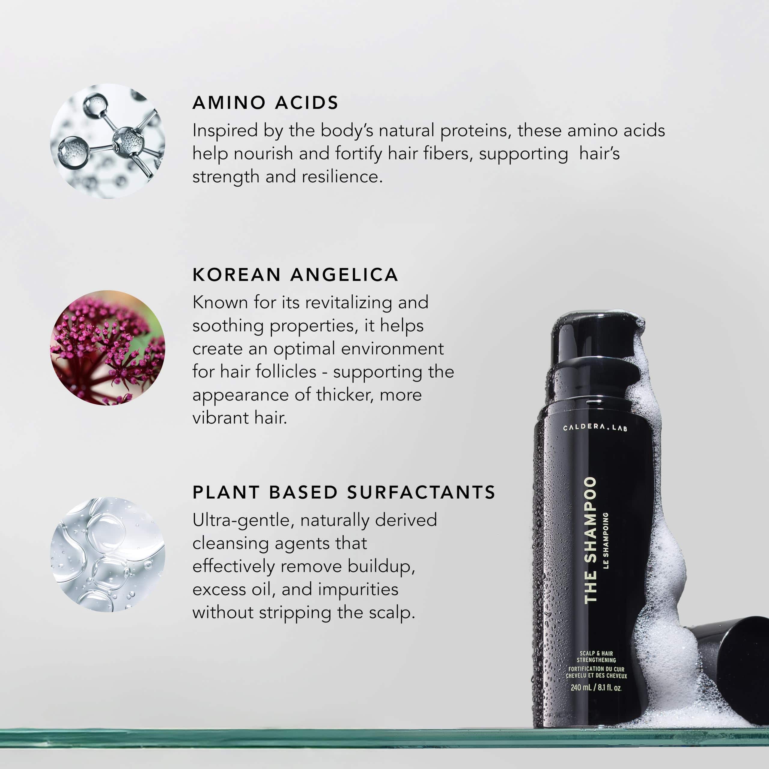 Caldera + Lab The Shampoo | Shampoo para Hombres para un - Imagen 4