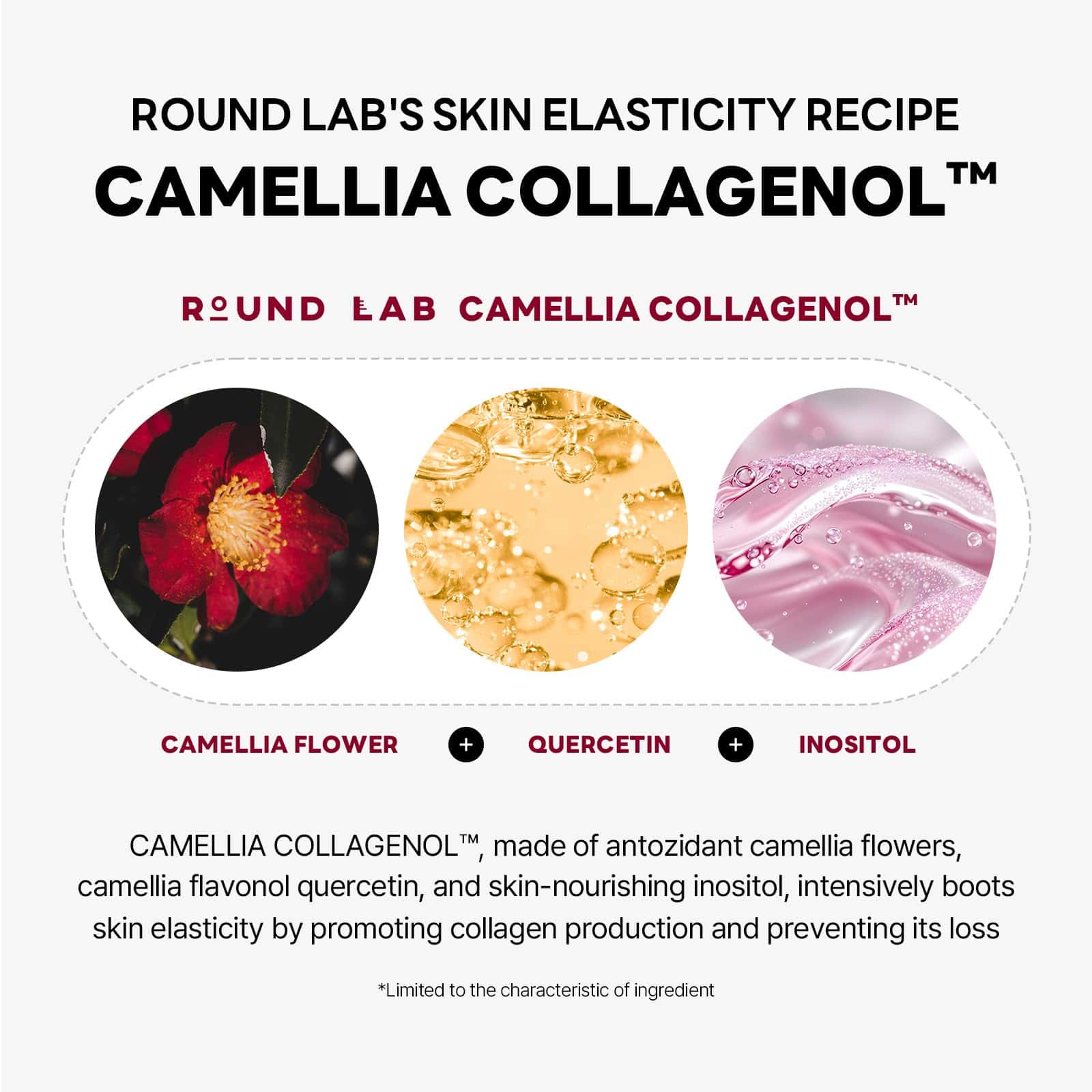 Mascarilla Gel Lifting de Colágeno Profundo Camellia ROUND - Imagen 7