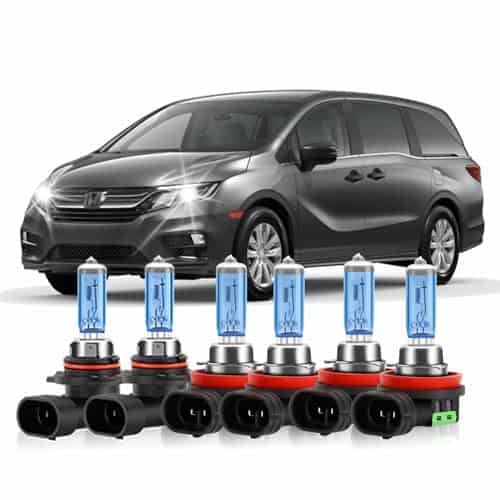 Bombillas de faros de repuesto Halógenas KINGSOFE Odyssey