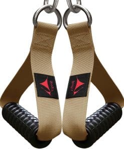 Asas de Entrenamiento de Gimnasio Pesado Vigoog para