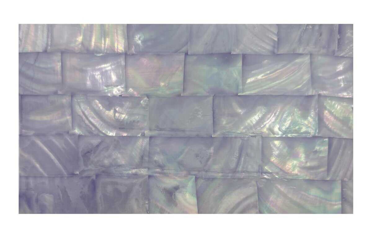 Hojas de Adhesivo de Abulón Natural Gommo para Incrustación