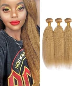 Paquetes de Cabello Humano Yaki Straight #27 Honey Blonde