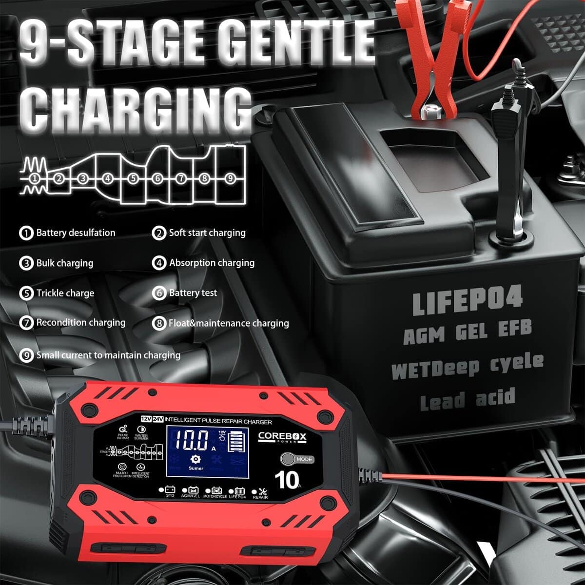 Cargador de Batería 10-Amp 12V/24V Inteligente para Coche - - Imagen 5