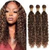 Paquetes de Pelo Humano Onda de Agua P430 Highlight Brown