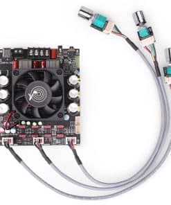 Placa de Amplificador de Potencia Estéreo Wuzhi Audio