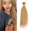 #27 Mechones de Cabello Humano Rubia Miel Yaki Liso 34