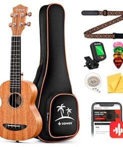 Ukelele de Concierto Donner Principiante Caoba 23 Pulgadas