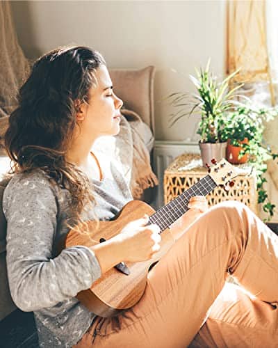 Ukelele de Concierto Donner Principiante Caoba 23 Pulgadas - Imagen 8