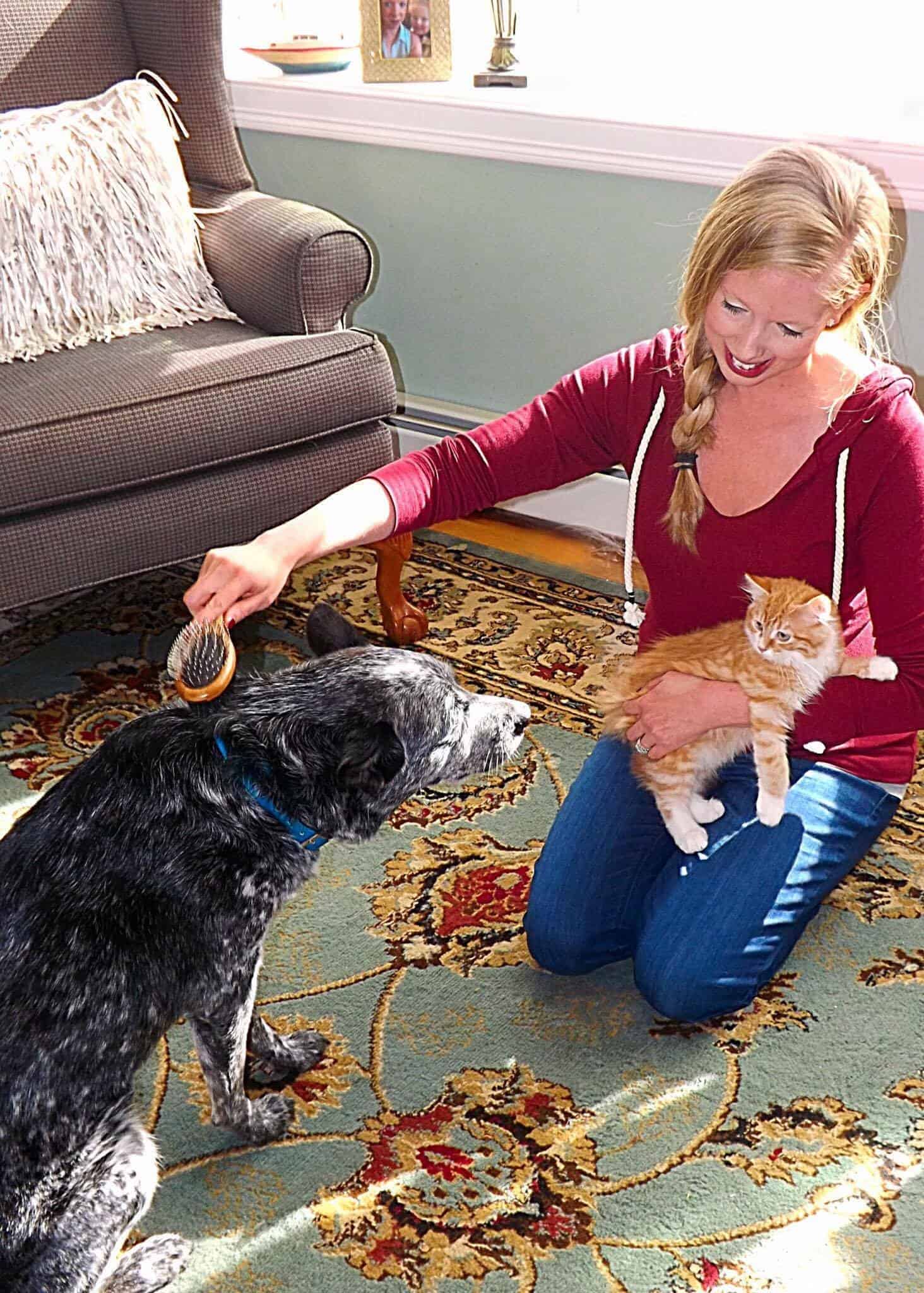 Cepillo de Doble Cara AtEase Accents para Perros y Gatos de - Imagen 10