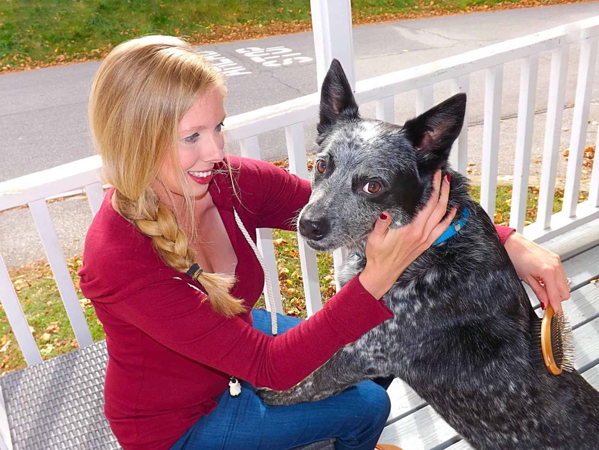 Cepillo de Doble Cara AtEase Accents para Perros y Gatos de - Imagen 6