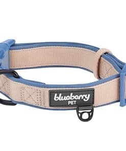 Collar para perro ajustable y acolchado de neopreno clásico