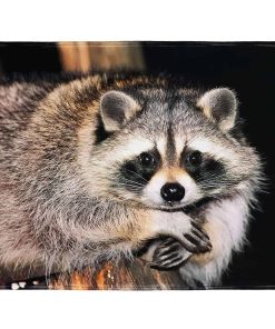 Manta de Felpa Suave y Cálida 60" x 80" para Sofá con Lindo