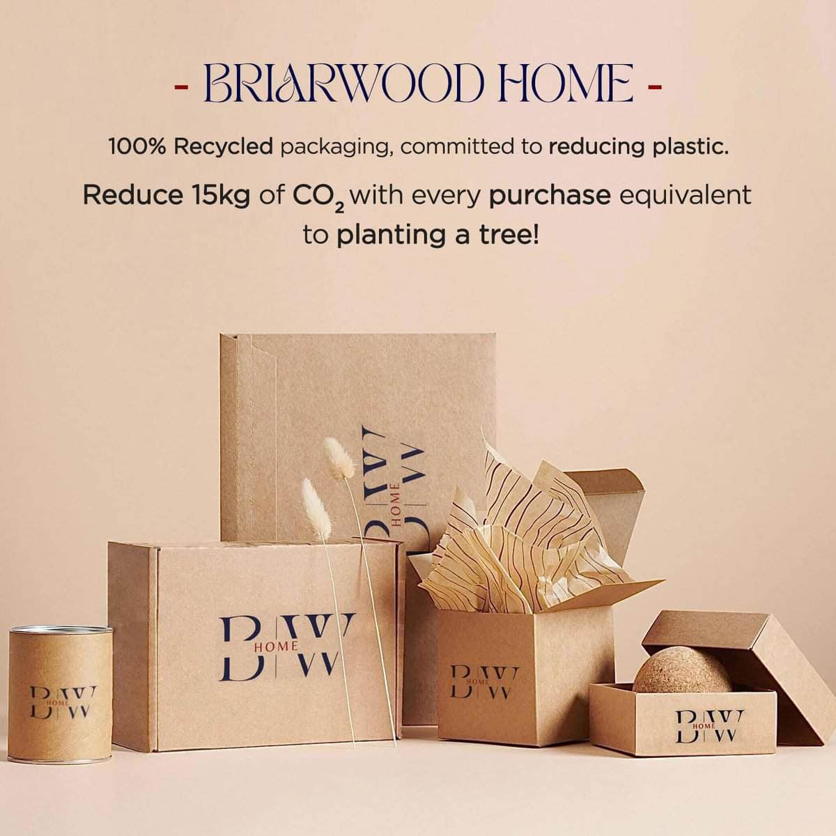 Juego de sábanas Briarwood Home Printed Flannel, 100% - Imagen 8