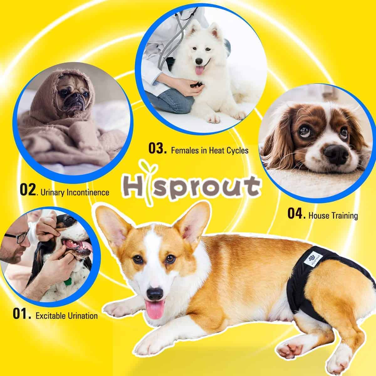 Pañales Lavables Reutilizables para Perros Hi Sprout para - Imagen 8